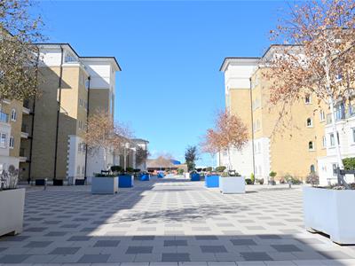 Picture 13